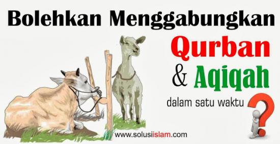 Aqiqah Vs Qurban